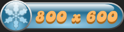 800x600